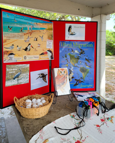 Table Display Education Event-by Kate Teaford