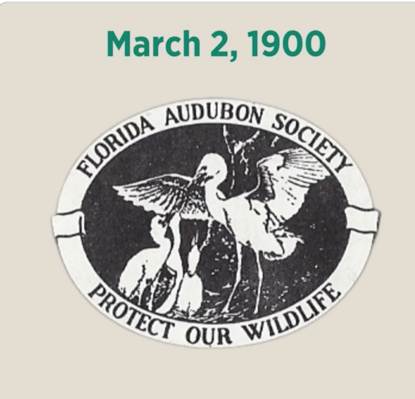 125 Years Audubon in Florida