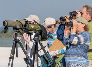 binoculars-scopes3 Binoculars