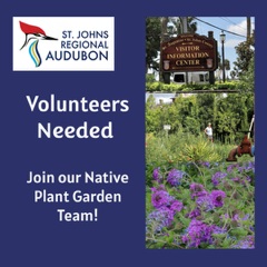 Join the Native Garden Team